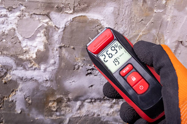 Best HVAC Mold Remediation in Kokomo, IN
